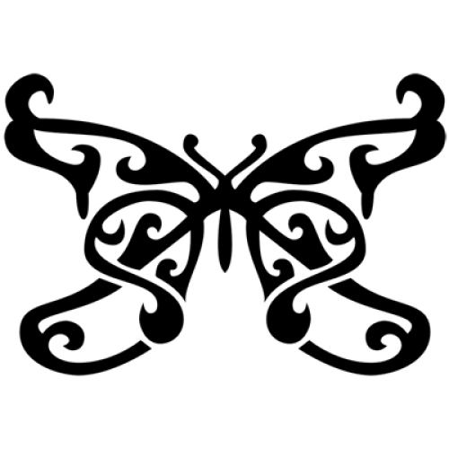 Butterfly 028