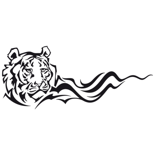 Tiger 003