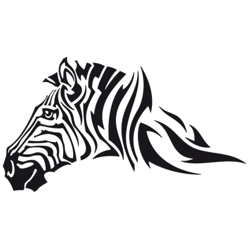 Zebra 005